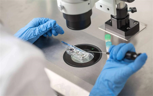 試管移植方案不止一種！這4種小眾但高效的“定制化方案”值得了解